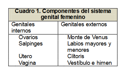 Sistema Reproductor Femenino. pdf